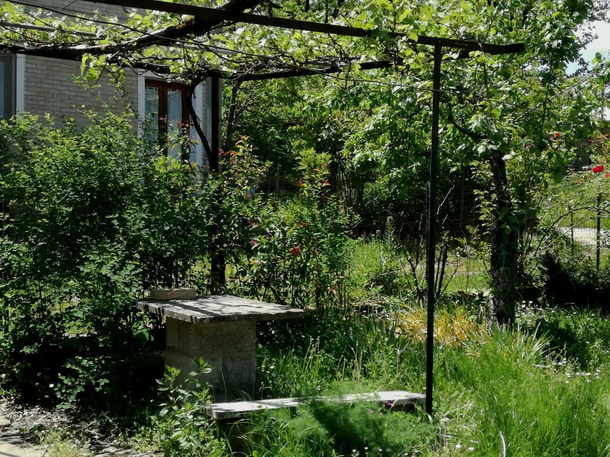 Casa Nel Verde Decollatura Exterior photo